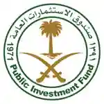 برنامج صندوق الاستثمارات العامة